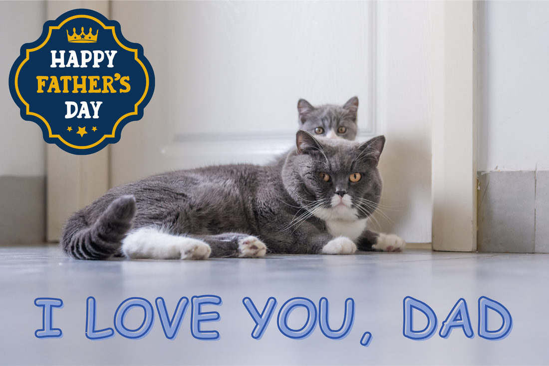 How to Manage IBS: Expert Diet, Lifestyle & Medication Recommendations