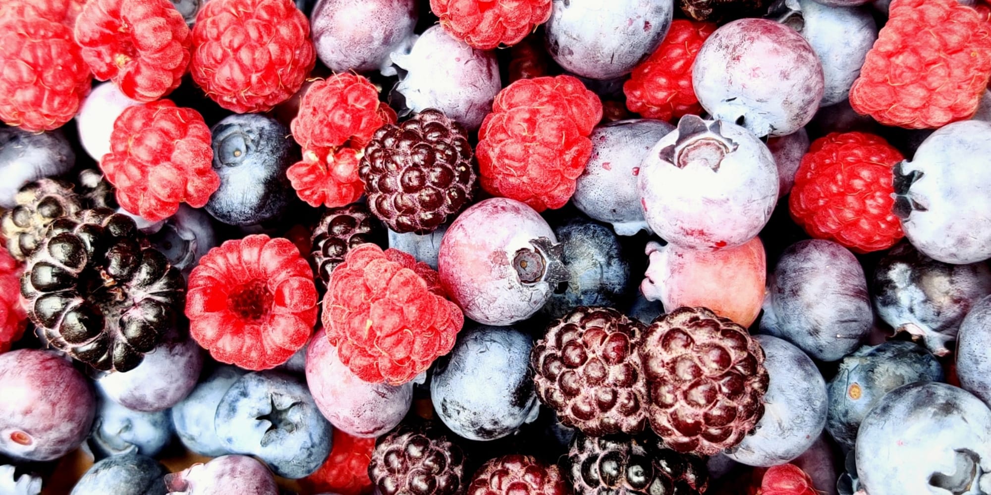 Boosting Your Health by Expanding Dietary Choices - FODZYME