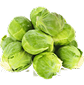 <p>Brussels sprouts</p>