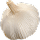 <p>Garlic</p>