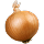 <p>Onion</p>